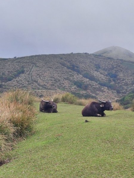 2026台北大縱走3014256