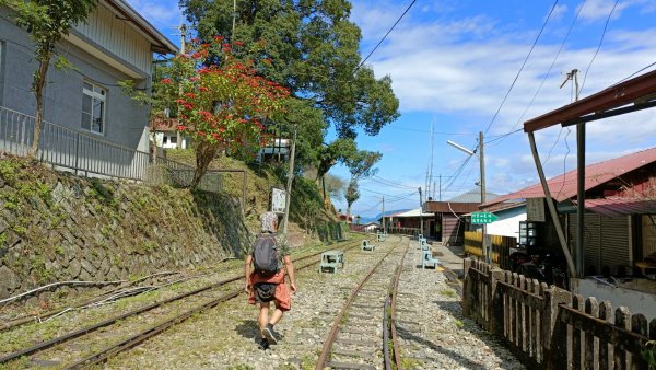 雲嘉24連峰(雲嘉24孝)一起來起笑 2021年11月12日1513468