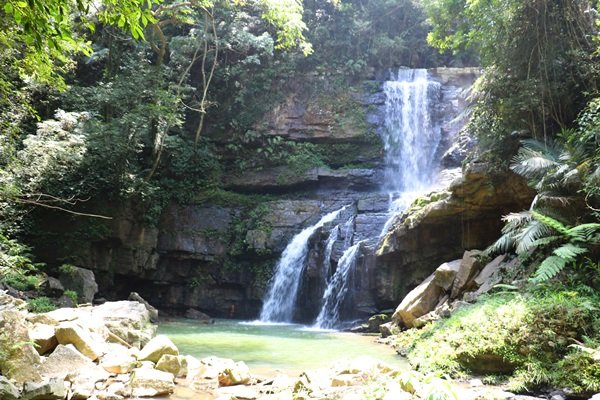 【南投。魚池】山林秘境之美景包場。澀水水上瀑布1428437