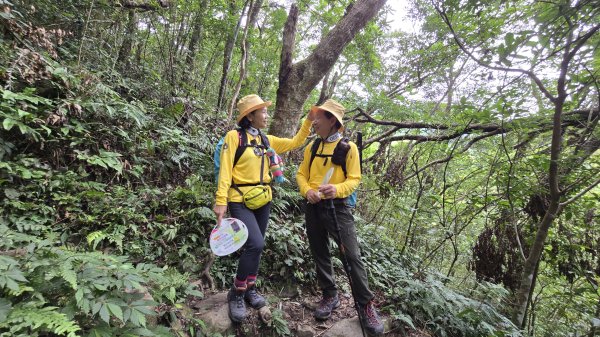 解鎖山頂鳥百山百鳥滿月園任務，滿月圓森林遊樂區是台北近郊瀑布最多的森林遊樂區，夏季首選，涼爽舒服2866670