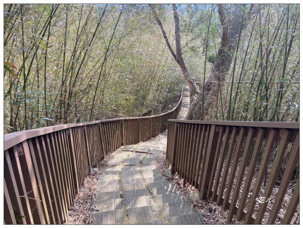 老崎古道、老崎坪頂山 (頭份)2737196