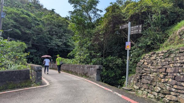 114.11.09草嶺古道芒花季之旅2932949