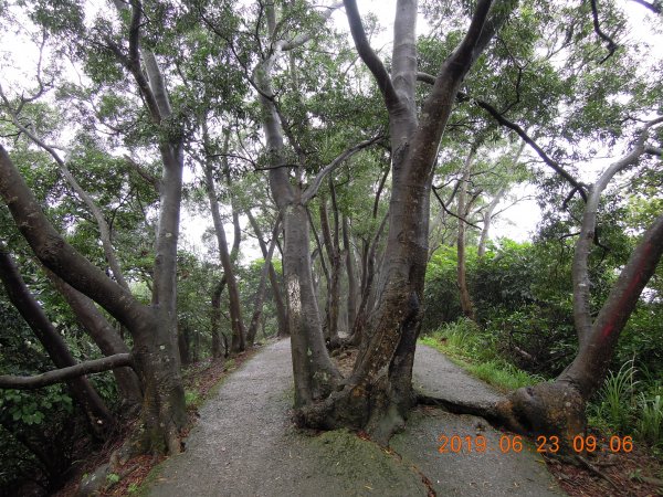 20190623_五酒桶山O繞841562