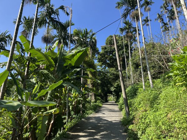 [嘉遊好步道．來嘉走走-08/10] 2024_1013 阿拔泉山稜線步道2627525