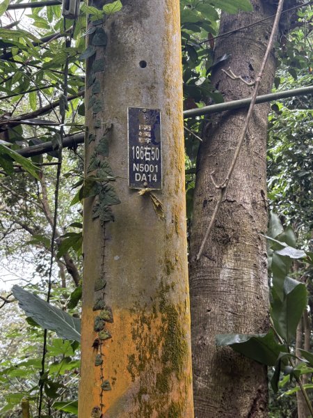 20251108白雲山步道2935184