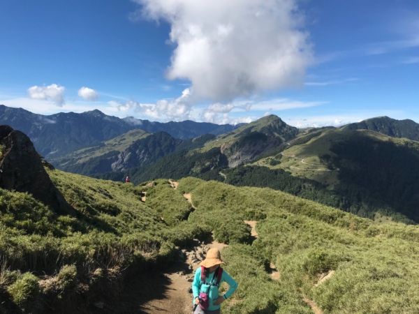 高山上的草原359322