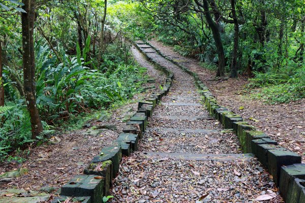 待老坑山。銀河洞535880