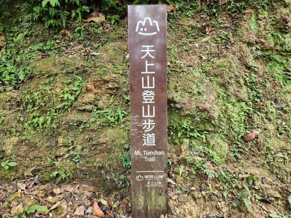 小百岳No.14⛰天上山2827772
