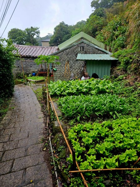 2025臺北大縱走第一段：關渡至二子坪2973529