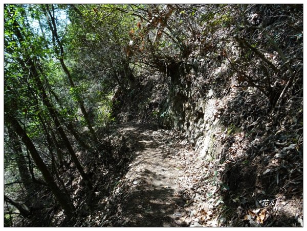 東卯山、東卯山西峰、東卯山西南峰 連走2932806