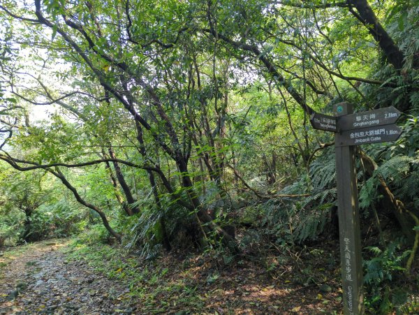 2025.04.27－金包里大路~小油坑縱走2770906