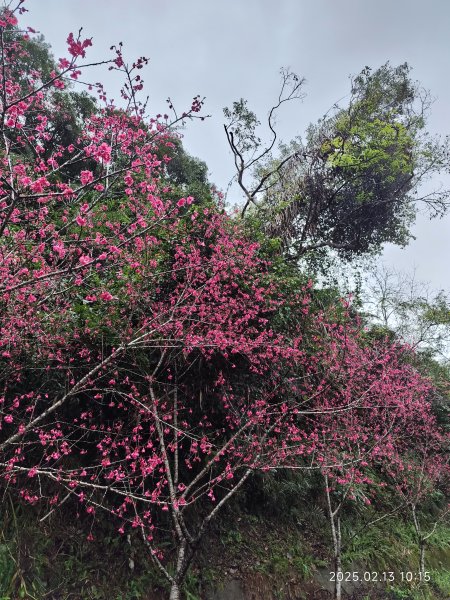 台北國軍英雄館→宜蘭縣員山鄉燈篙林道→礁溪郷潭酵天地觀光工廠→冬山鄉田老爺餐廳2712016