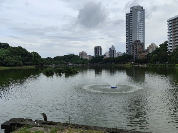 大稻埕、大港墘公園、瑞陽公園、碧湖公園步道【臺北健走趣】2874230