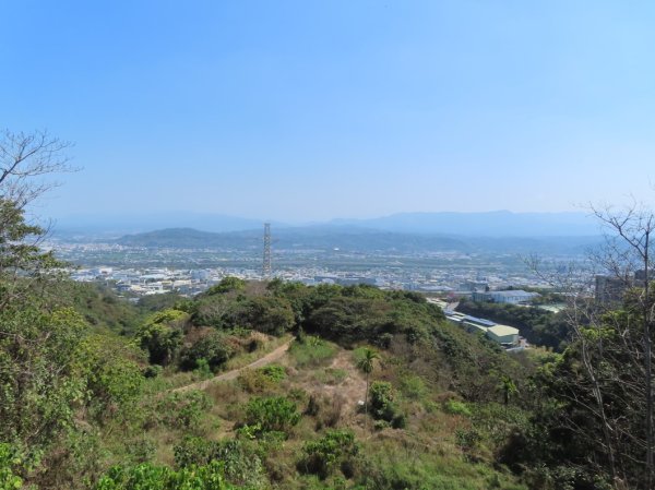 南投草尾嶺步道(賞血藤花)3031434