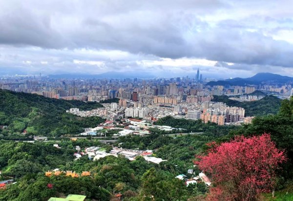 中和南勢角山，圓通寺步道