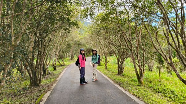 向天湖山11501252988137