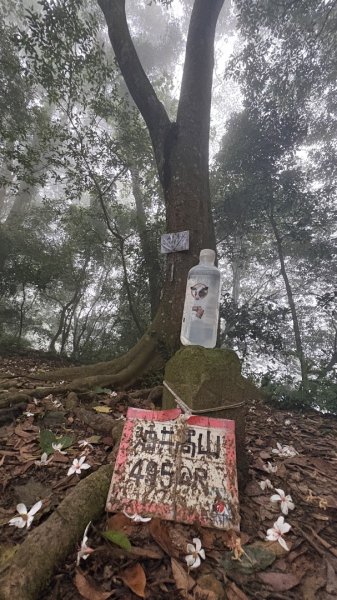 雙石縱走 O還2️⃣3050657
