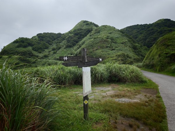 [淡蘭古道] 2026_0531 北路第一段_燦光寮古道(上)-草山戰備道3070680