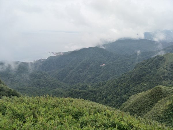 灣坑頭山步道1751841