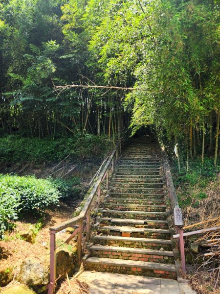 【中級山縱走】雲嘉八連峰（後棟仔山，大尖山，二尖山，馬鞍山，梨子腳山，太平山，大巃頂山及其西北峰）2821120