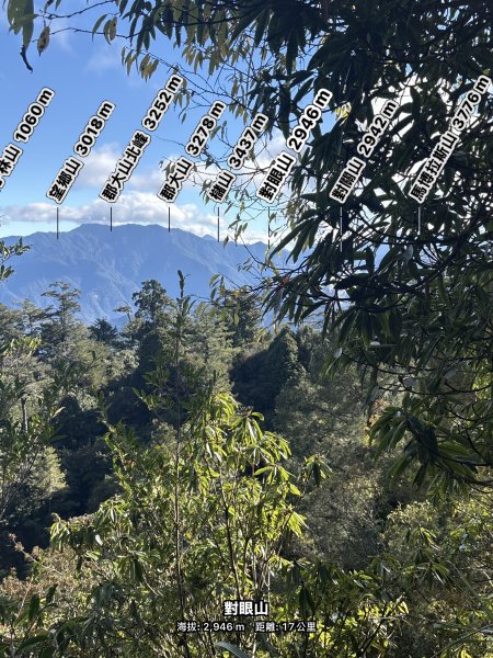 20251225塔山步道(大塔山)2970410