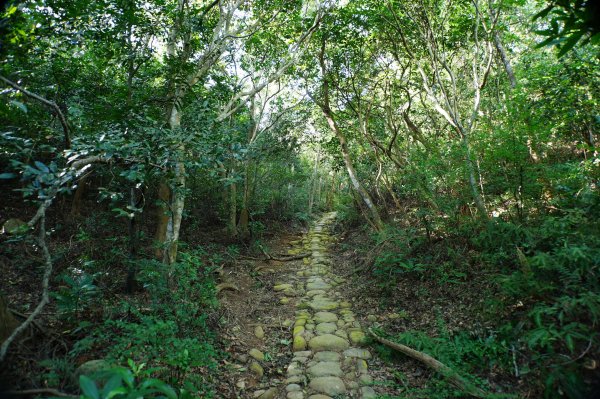 新竹 新埔 犁頭山、吧哩國山、石頭坑山2936774