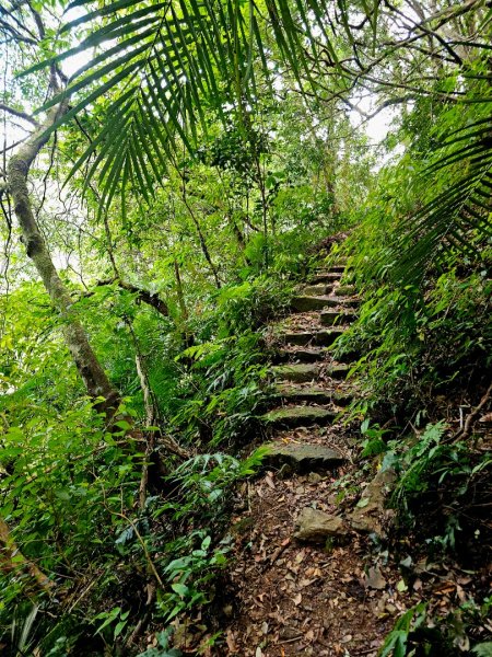 闊瀨古道/三水潭(淡蘭中路)-新北市坪林區2873799