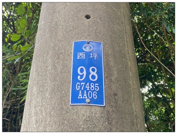 下太平山 (苗栗、卓蘭)2841407