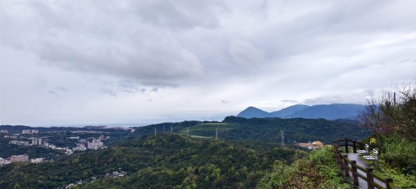 紅淡山步道-2026/03/01