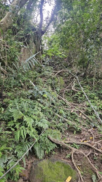 20250612溪南尖-主公山