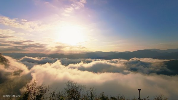 除夕寒流來襲的翡翠水庫雲海&天元宮寒櫻1/282700693