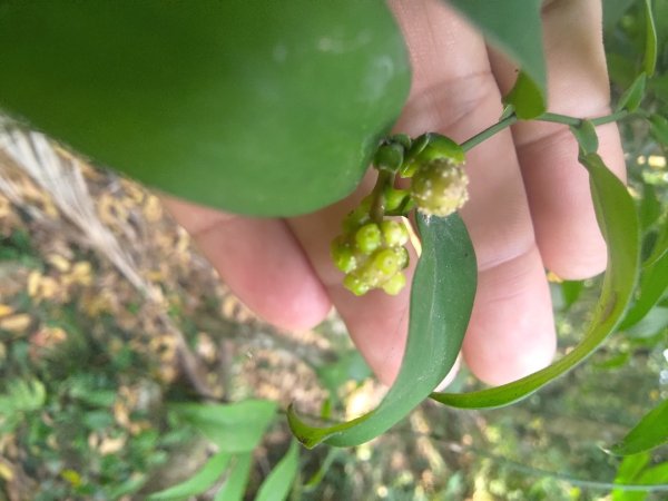 塘湖古道塘湖山甕缸潭2454273