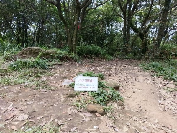 內湖區大丘田保甲路+開眼山+白石湖山+白石湖山東峰+大邱田山+消防山O型2858923