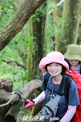 【台中北屯】大坑四號步道x頭嵙山3090939