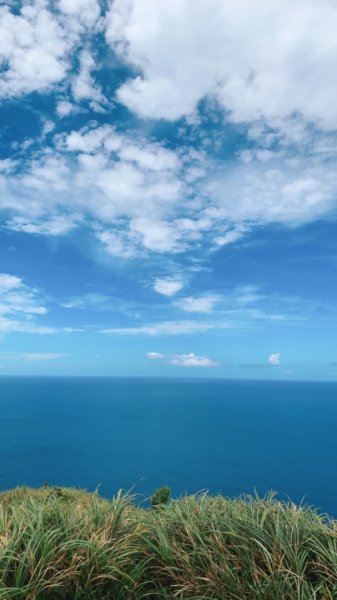 20210830看看南子吝的海1449155