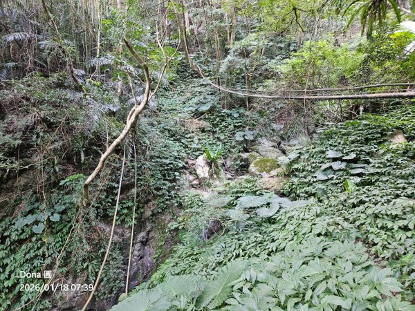 南插天山.魯培山.上宇內山(南插北峰)2989744