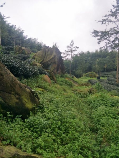 竹崙、志騰山步道(竹崙古道)1452928