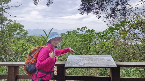 (姨婆趴趴走)第五十集:新北樹林大同山、青龍嶺、大棟山諸峰連走2751573