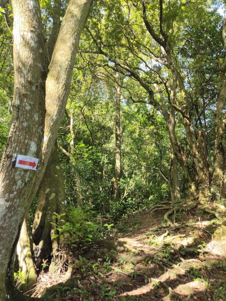 四寮溪生態步道2882175