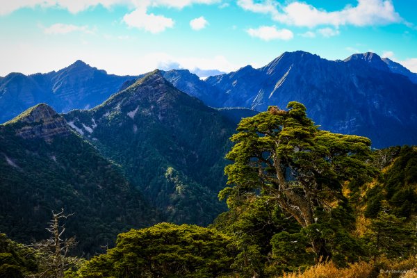 [冬訪大霸聖山岳參行]-榮耀桂冠B'bu' Papak聖稜精選輯2974793