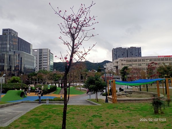 內湖大港墘公園、宏匯瑞光廣場、內湖運動中心2416091