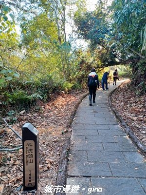 【南投埔里】天旨宮鰲頭山步道x虎頭山鯉魚潭步道x虎頭山觀景平台連走2988501