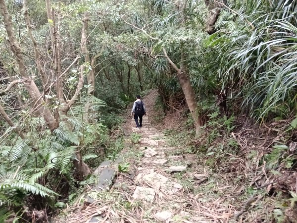 基隆市三層山+湳子大崙+淡基橫斷古道+面桶寮土地公2982256