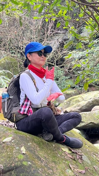 東勢大崙、東勢坑山、觀音湖山O走2986359