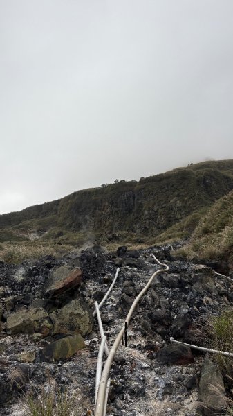 漫遊陽明山2951930