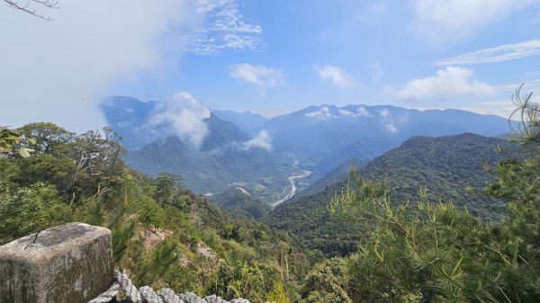 【美美兔走山趣】谷關抓雄-老六白毛2749962