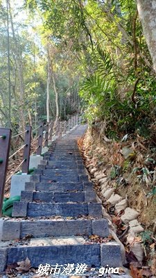 【南投魚池】後尖山步道2968298