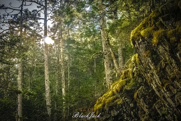 雪山主峰一日單攻963333