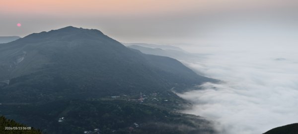 #大屯山 #日出 #雲海 #琉璃光 #橘咖啡 #吉野櫻 3/233020516