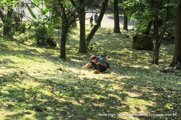 2026 D0426｜ 小百岳賞油桐 ・汐止大尖山步道  & 偽出國「古希臘神殿感」汐止聖德宮